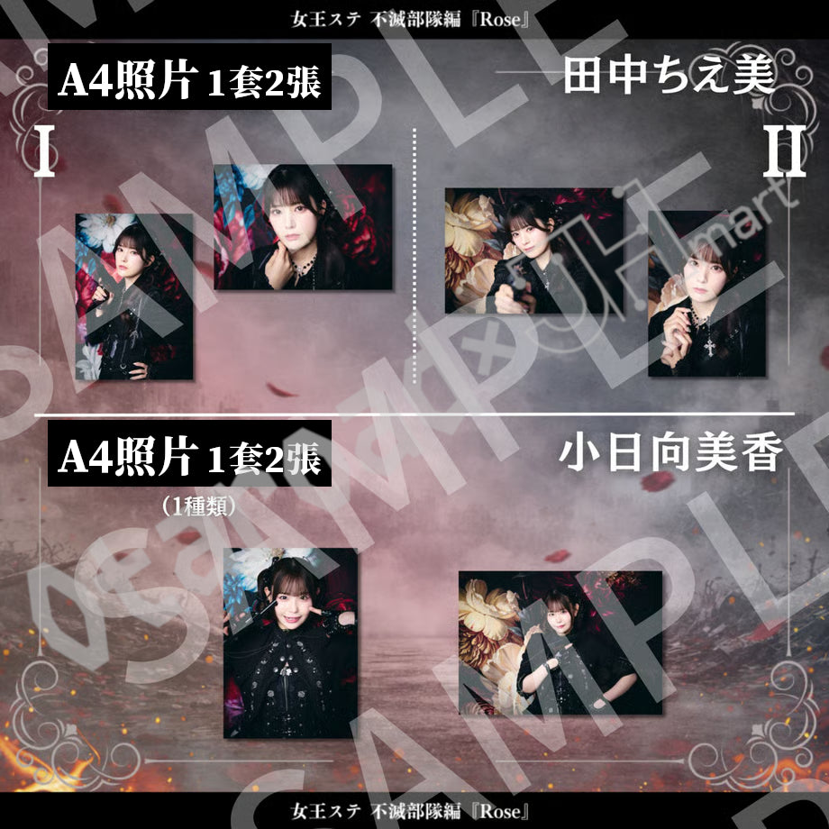 預訂：[日版周邊]《女王ステ不滅部隊編『Rose』》周邊（照片類、劇本、場刊）